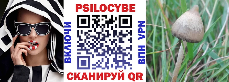 Псилоцибиновые грибы GOLDEN TEACHER  где купить наркотик  Бор 